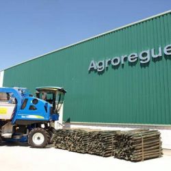 Agroreguero